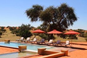 Zebra Kalahari Lodge  Hoachanas